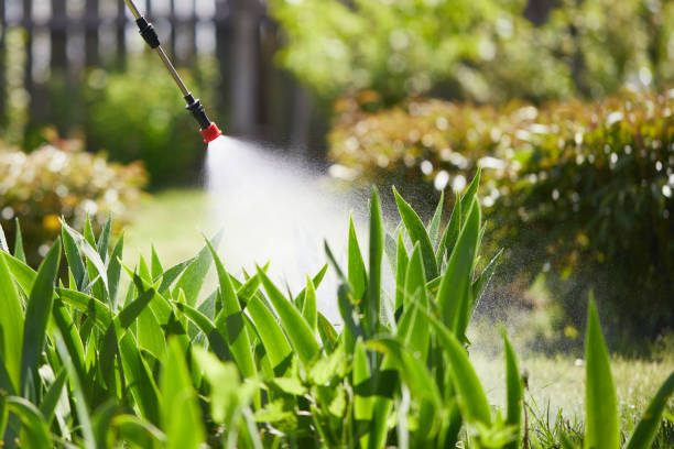 24/7 Emergency Cockroach Control experts in Lake City, FL