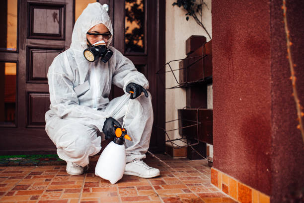 Reliable Cockroach Control contractor in Lake City, FL by Nex Pest Control